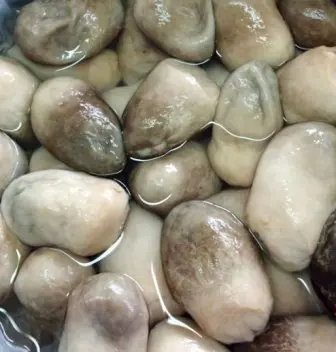 Соленые соломинки грибы-продажи-Vivian Ha + 84 33 88 20 462