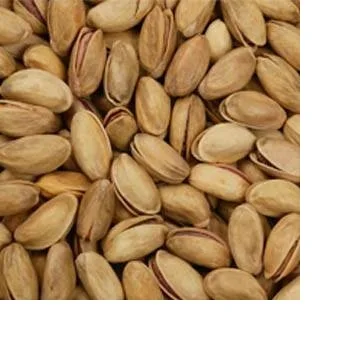 pistachio nut.jpg