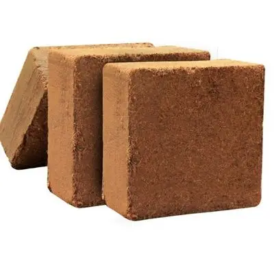 coco peat3.jpg