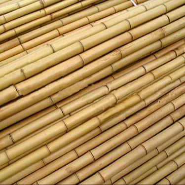 hot sales price bamboo poles wholesale / bamboo poles sale
