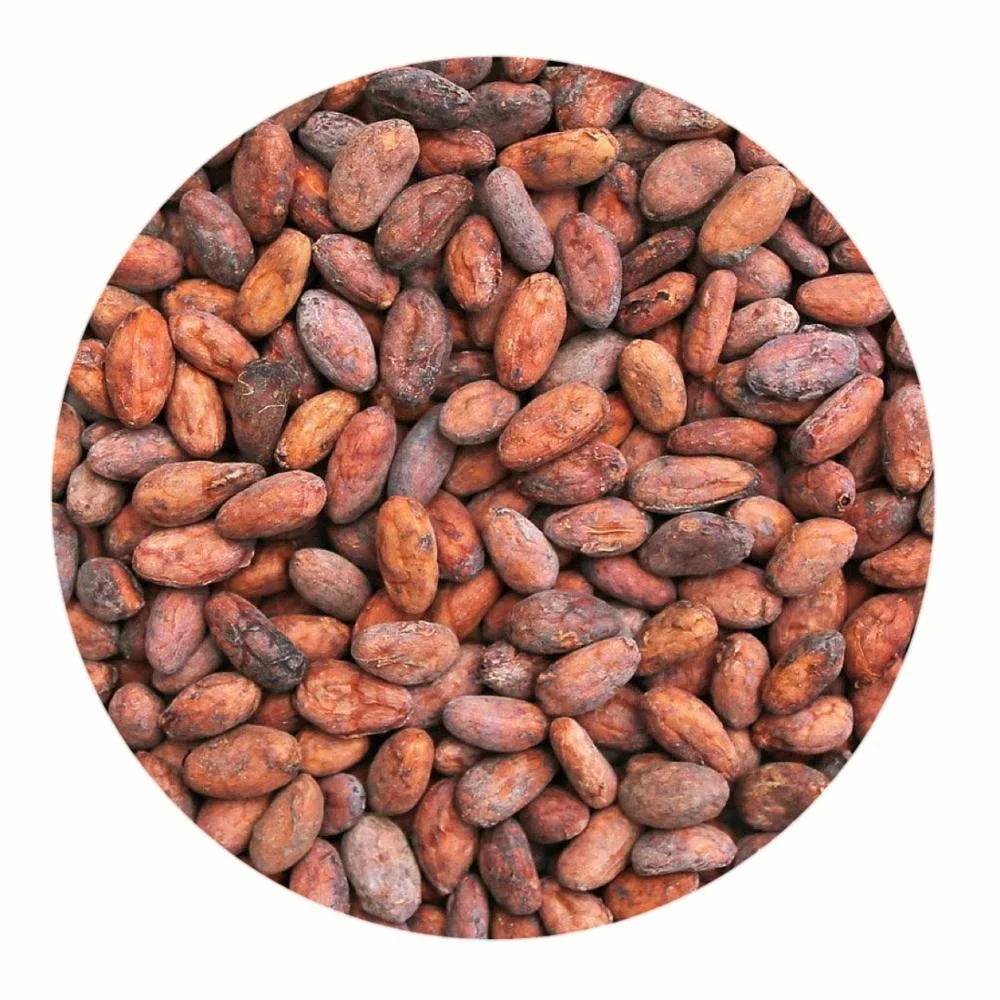 Cacao bean / cocoa (Organic certified)