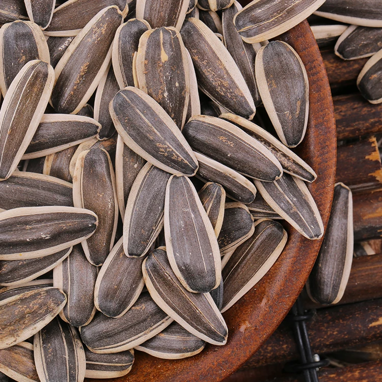 Семена экспорт