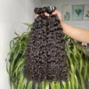 Burmese Curly