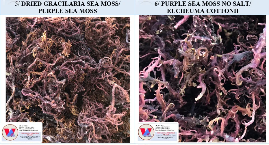Premium Purple Sea Moss/making Sea Moss Gel/irishmoss/seamoss Ms