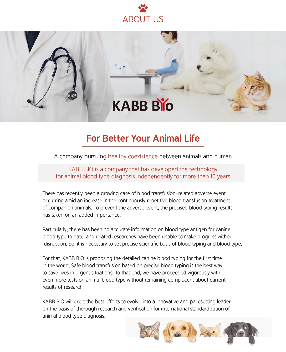 Homeuse Available Cat Blood Type Test Box Buy Feline Blood Typing Test Kit Box,Pet Health