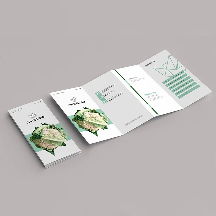 G3-01-01 2021 Custom printing company Folded leaflet booklet pamphlet brochure catelogue