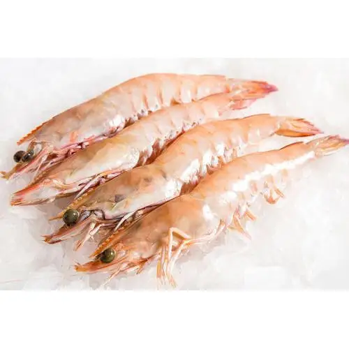 pdto prawn vanamei shrimp frozen pd