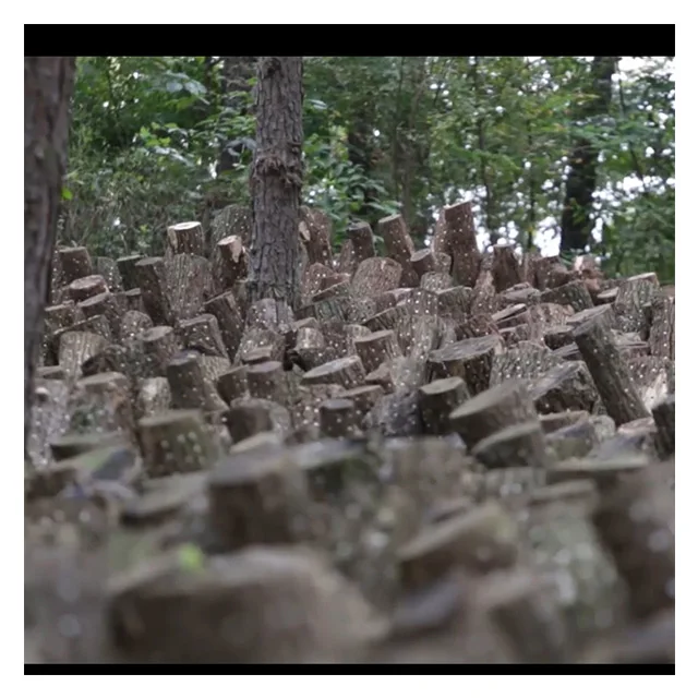 Уксус пермана 500 мл, лучший корейский полезный фруктовый экстракт, напиток, сушеный и консервированный продукт уксуса пермана