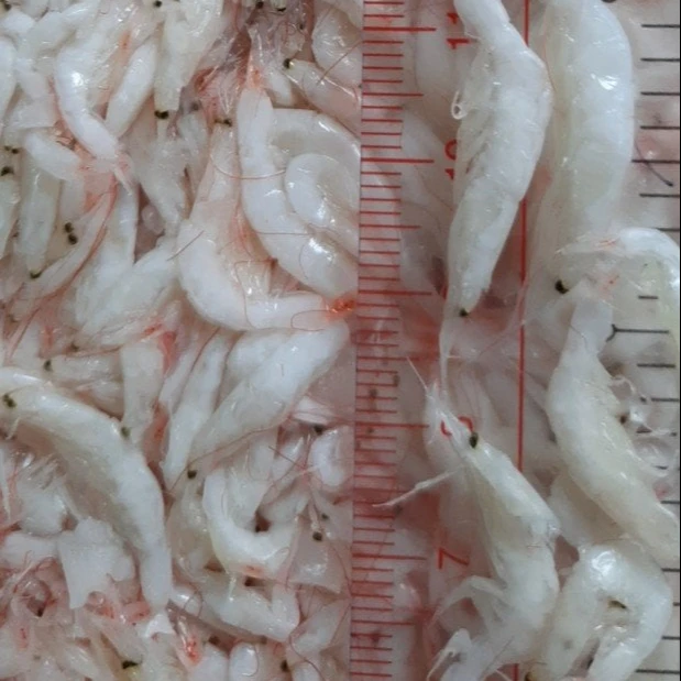 Whism Sel De Bebe Crevettes Seches Fruits De Mer Saine De Style Vietnamien Buy Bebe Crevettes Sel Bebe Crevettes Crevettes Congelees Usine Product On Alibaba Com