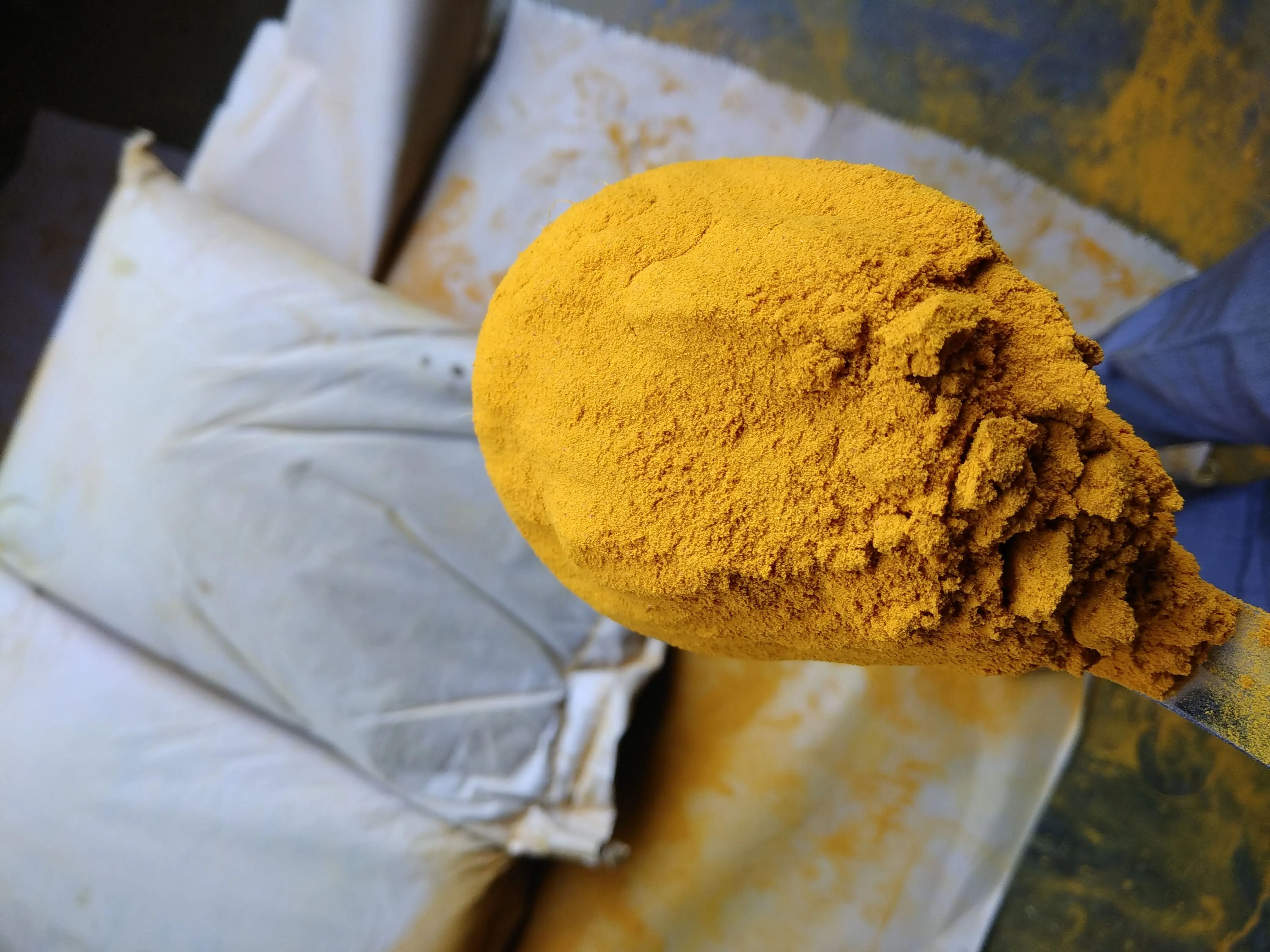 best grade nizamabad turmeric powder