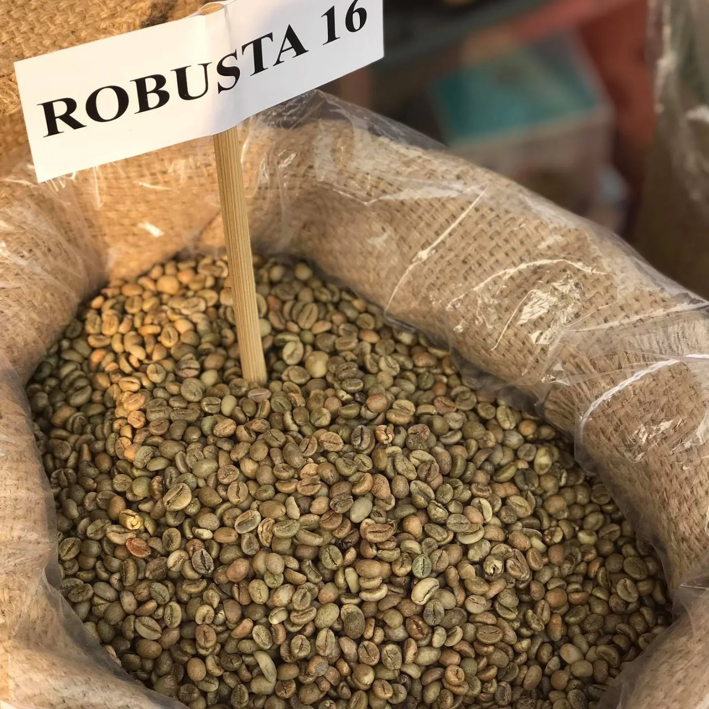 coffe robusta  (1).jpg