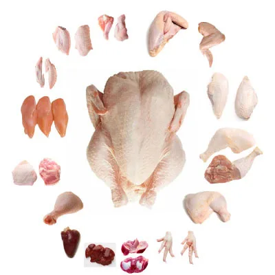 chicken -..jpg
