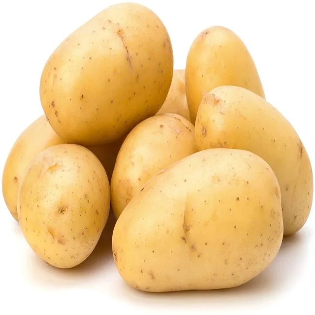 High Quality Fresh Sweet Potatoes For Sale Cheap Potatoes For Sale Buy Potatoes Santa Potato Canned Whole Peeled Potatoes Product On Alibaba Com