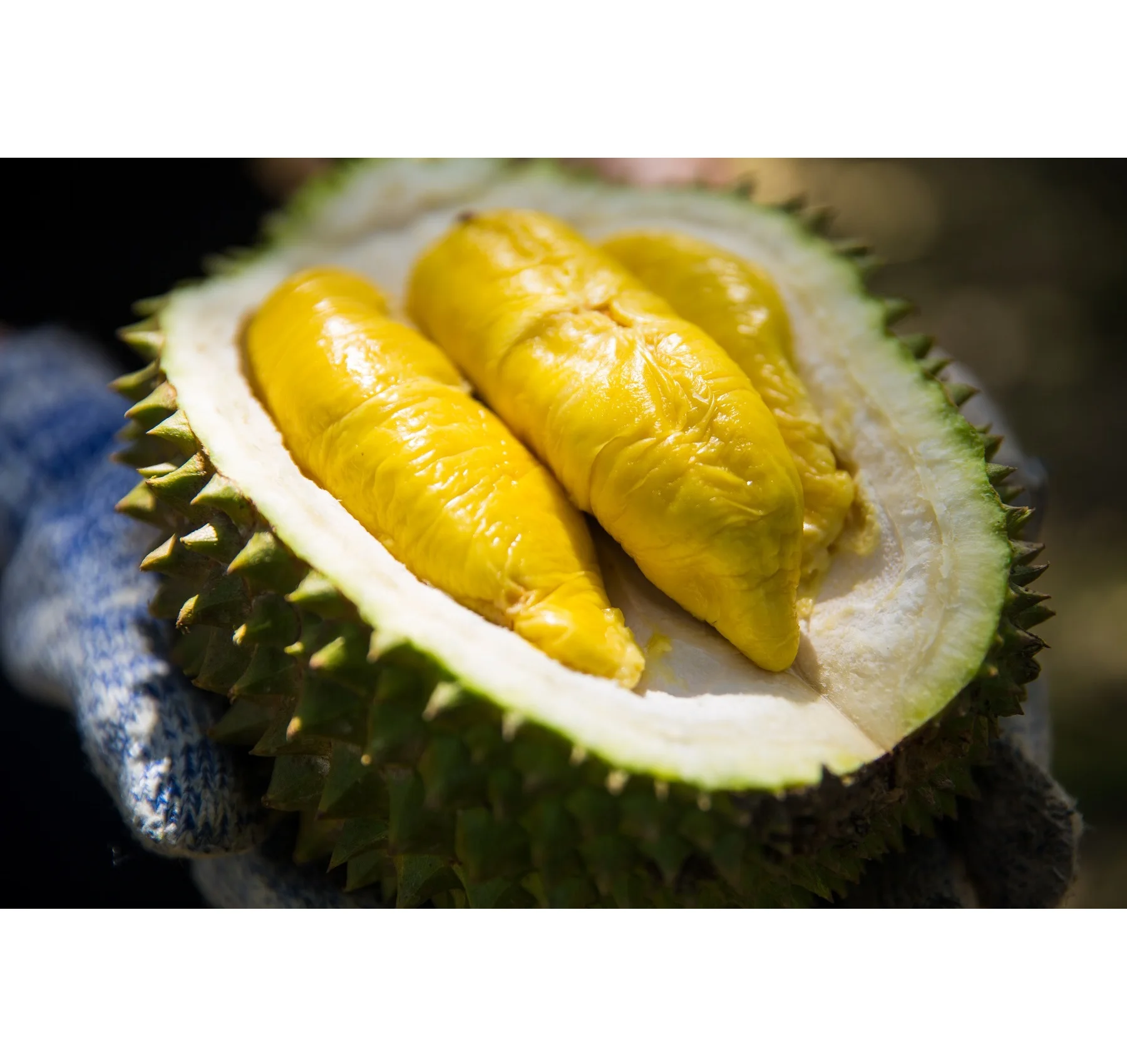 Durian musang king price