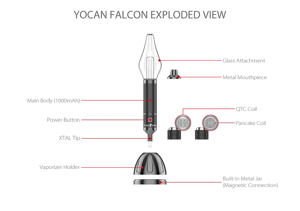 Falcon (3).jpg