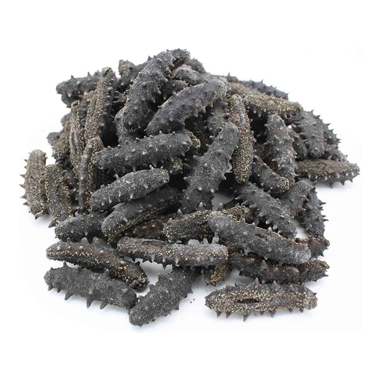 reasonable price highest quality frozen sea cucumber for sale