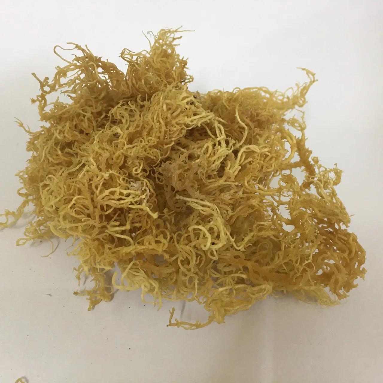 Wholesale Supply Sea Moss Gummies Made From 100% Natural Sea Moss / Oem ...