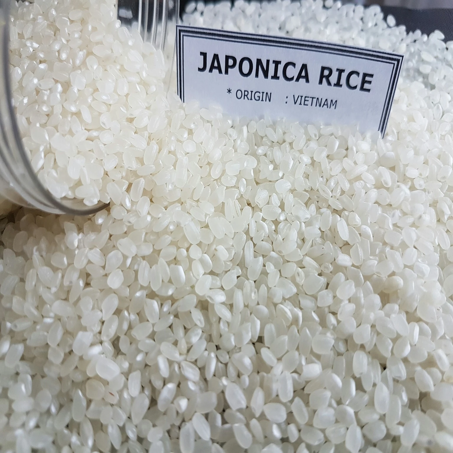 調理用ジャポニカライス (モバイル/WA: 84986778999/84867778224