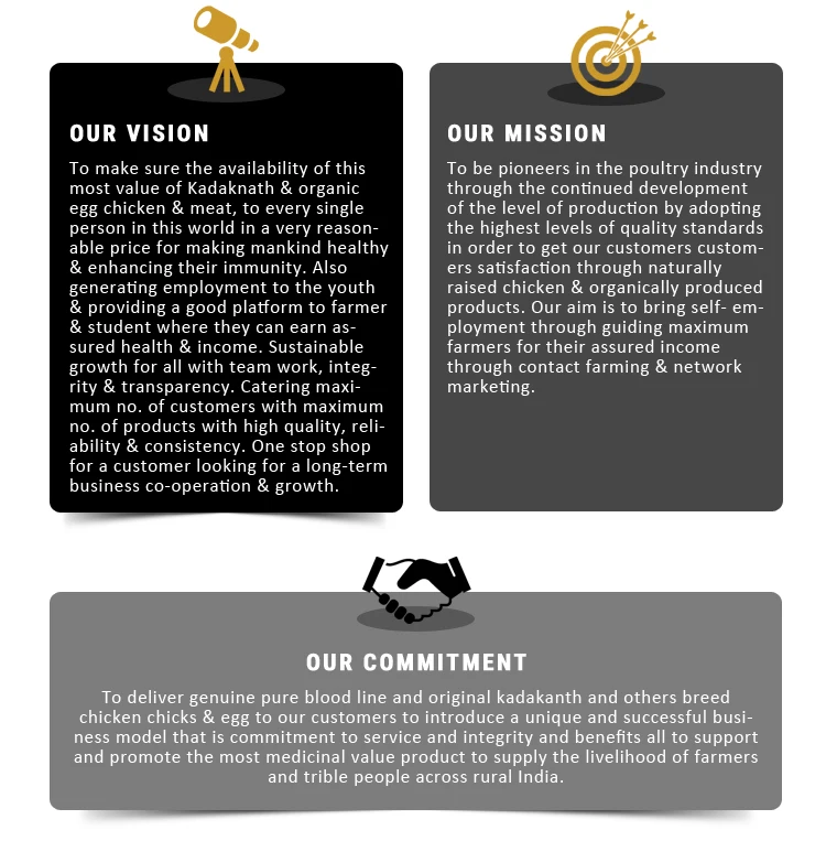 Vision-Mission.jpg