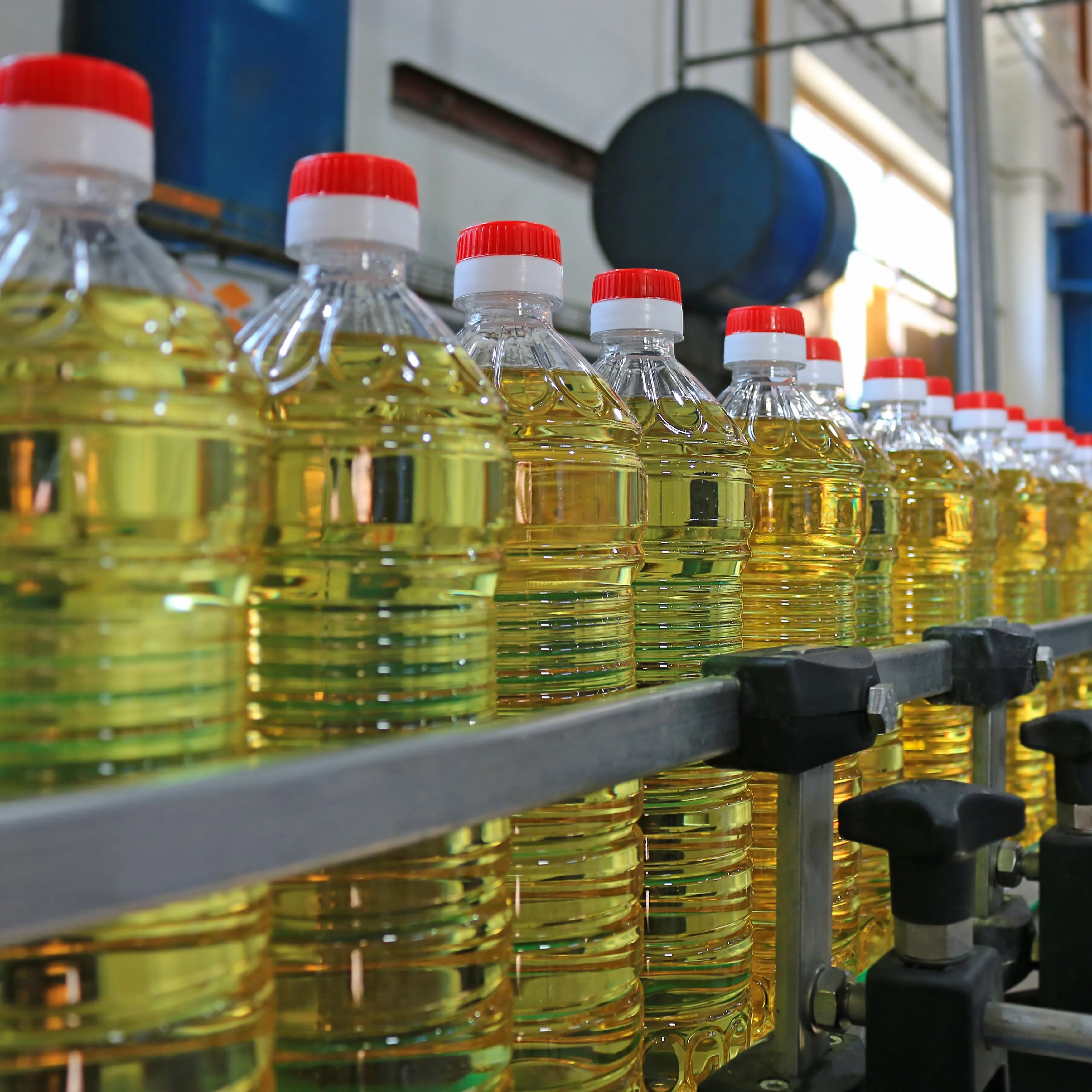 Растительное масло. Производство растительного масла. Масложировая промышленность. Разливной цех масло подсолнечное.
