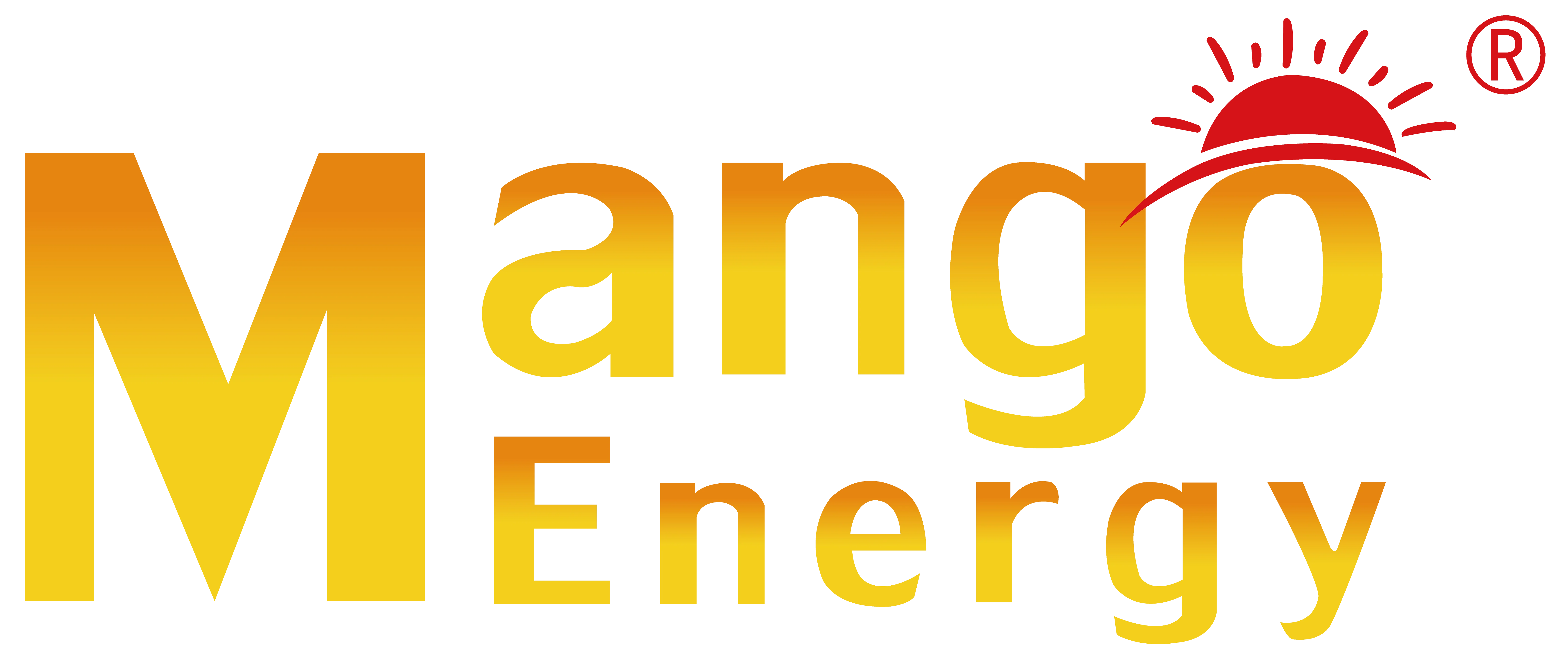 guangdong europe mango new energy technology co ltd