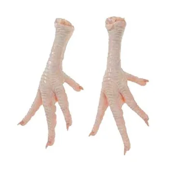 Ноги Курицы Фото