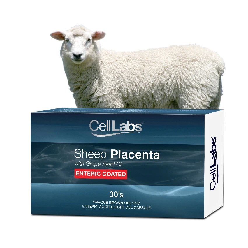 celllabs sheep placenta enteric coated malaysia wholesales for