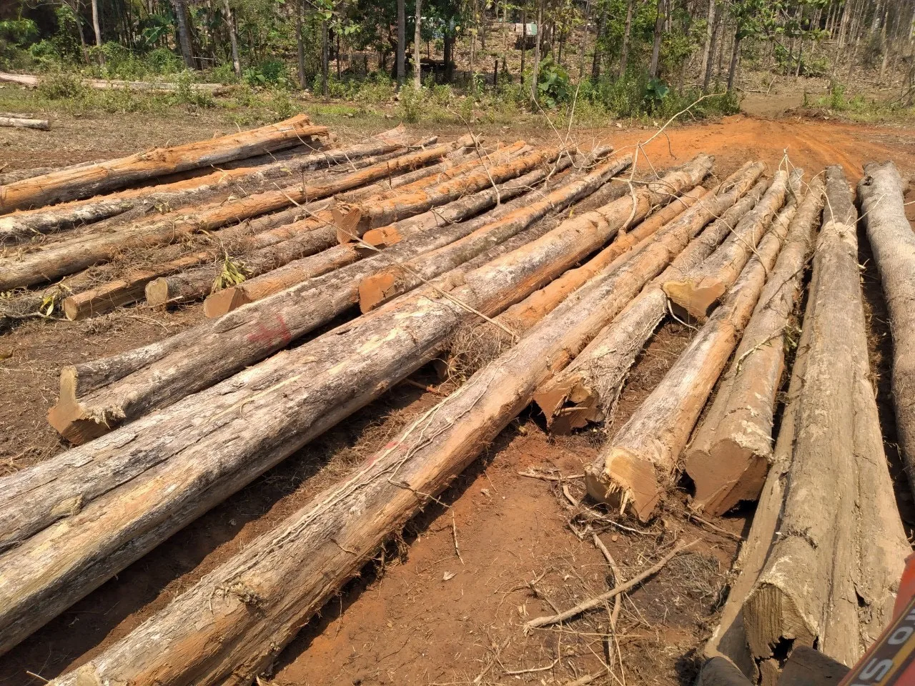 Wood Teak Timber Cheap Price Direct Factory From Viet Nam Buy Ironwood Timber,Teak Plantation