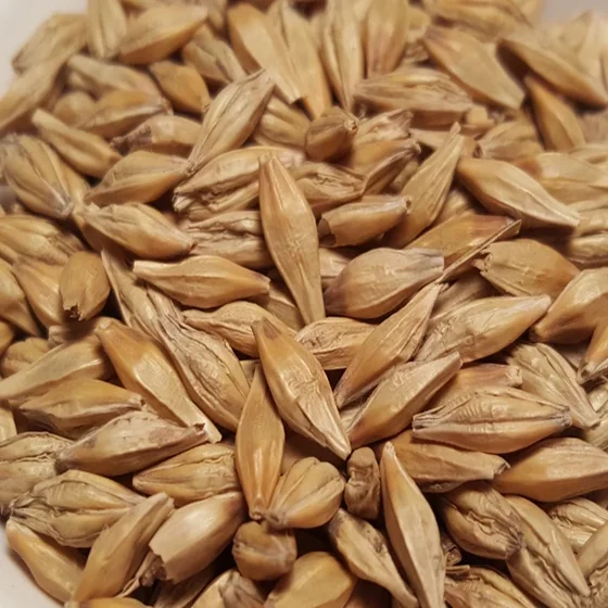 Barley Seeds 1.png