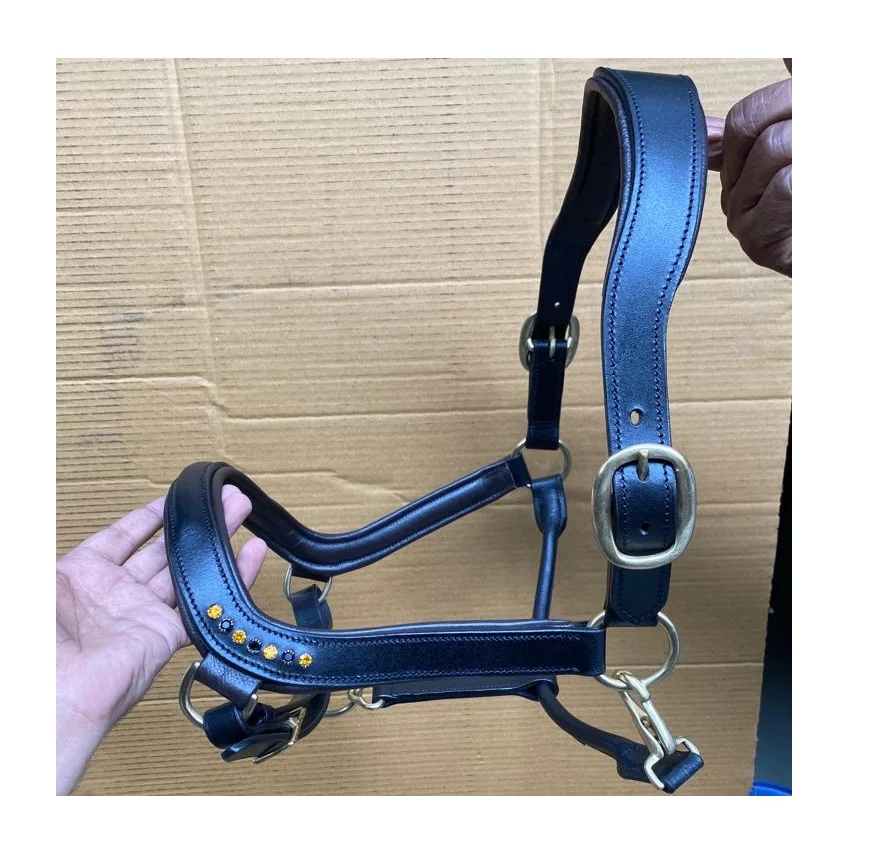 Anatomical Leather Horse Halter On High Quality Indian Leather With