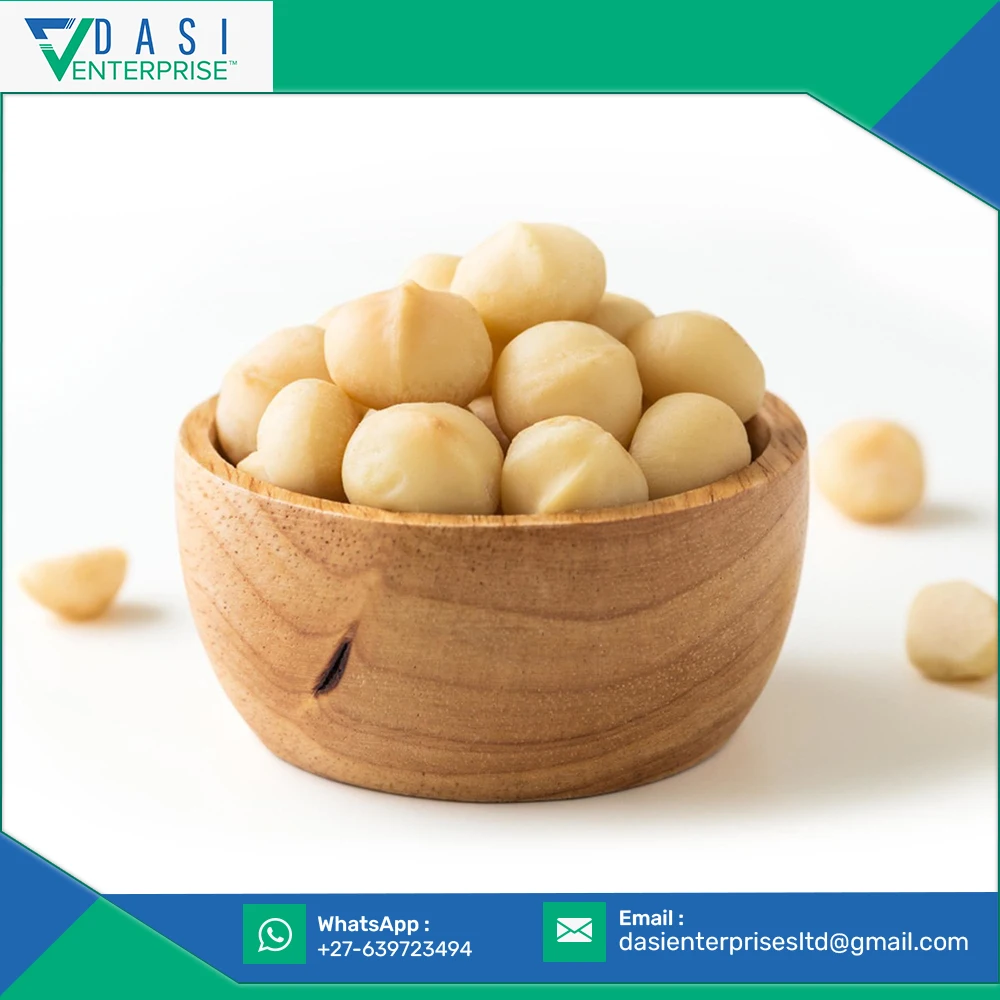 Fiber Rich Valuable Delicious Raw Organic White Macadamia Nuts Kernel At New Selling