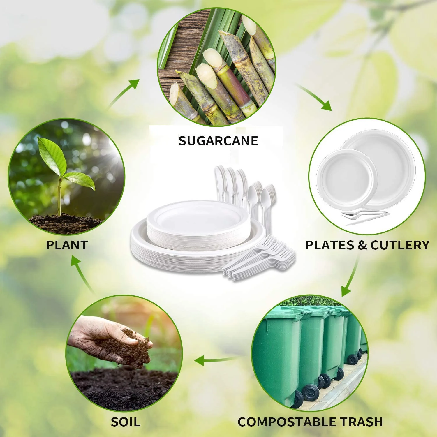 Pulp Tableware Wholesale Eco Friendly Biodegradable Sugarcane Bagasse Pulp Tableware