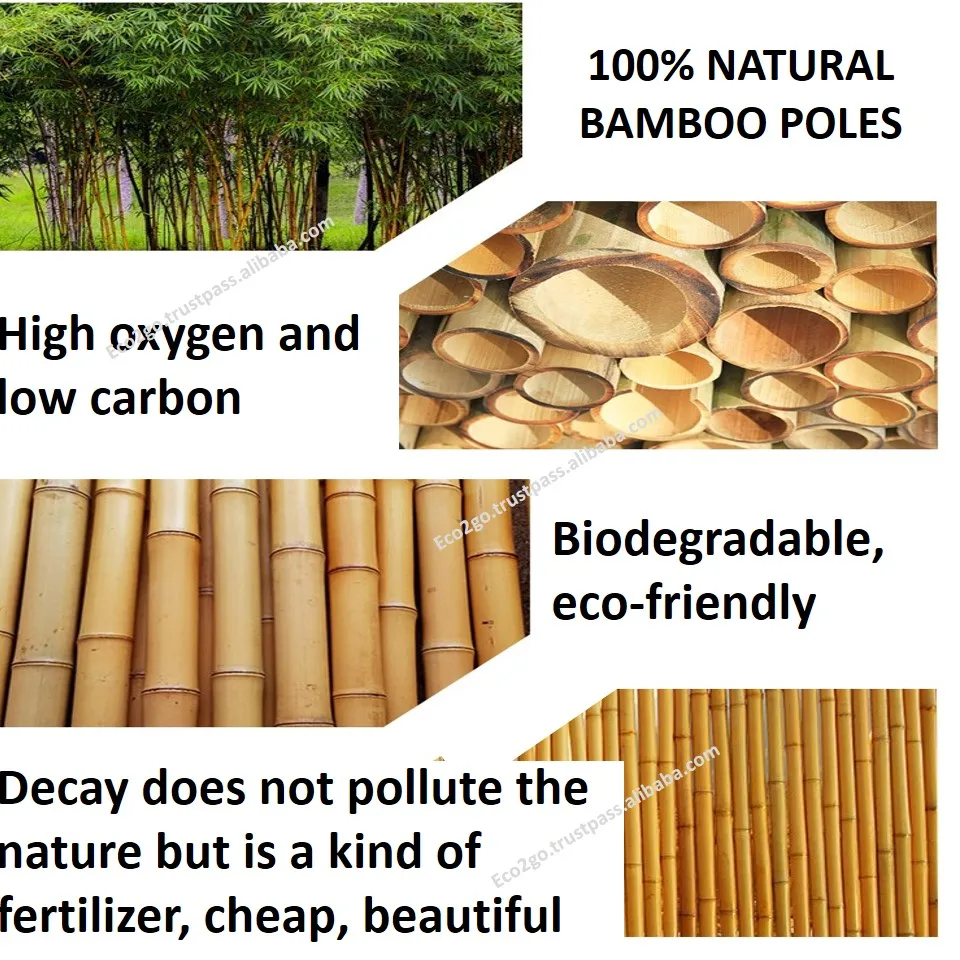 100% Biodegradable Bamboo Poles/ Bamboo Poles For Construction/ Yellow ...