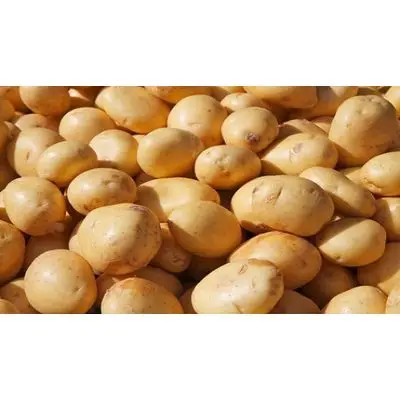 potatoes2.jpg