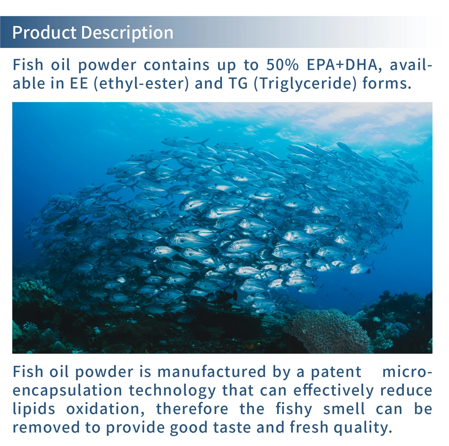 fish oil.jpg