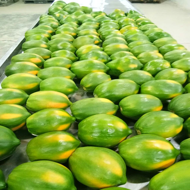 Papaya 3.jpg