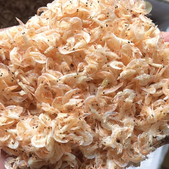 Cotelette Bebe Seche En Fer Pieu Louis Whatsapp Buy Crevettes Sechees Crevettes Sechees Crevettes Crevettes Sechees Bebe Sec Crevettes Plus Grand Cerise Crevette Crevettes Tempura Crevettes Crevettes Repas Jumbo Crevettes Crevettes Seches De