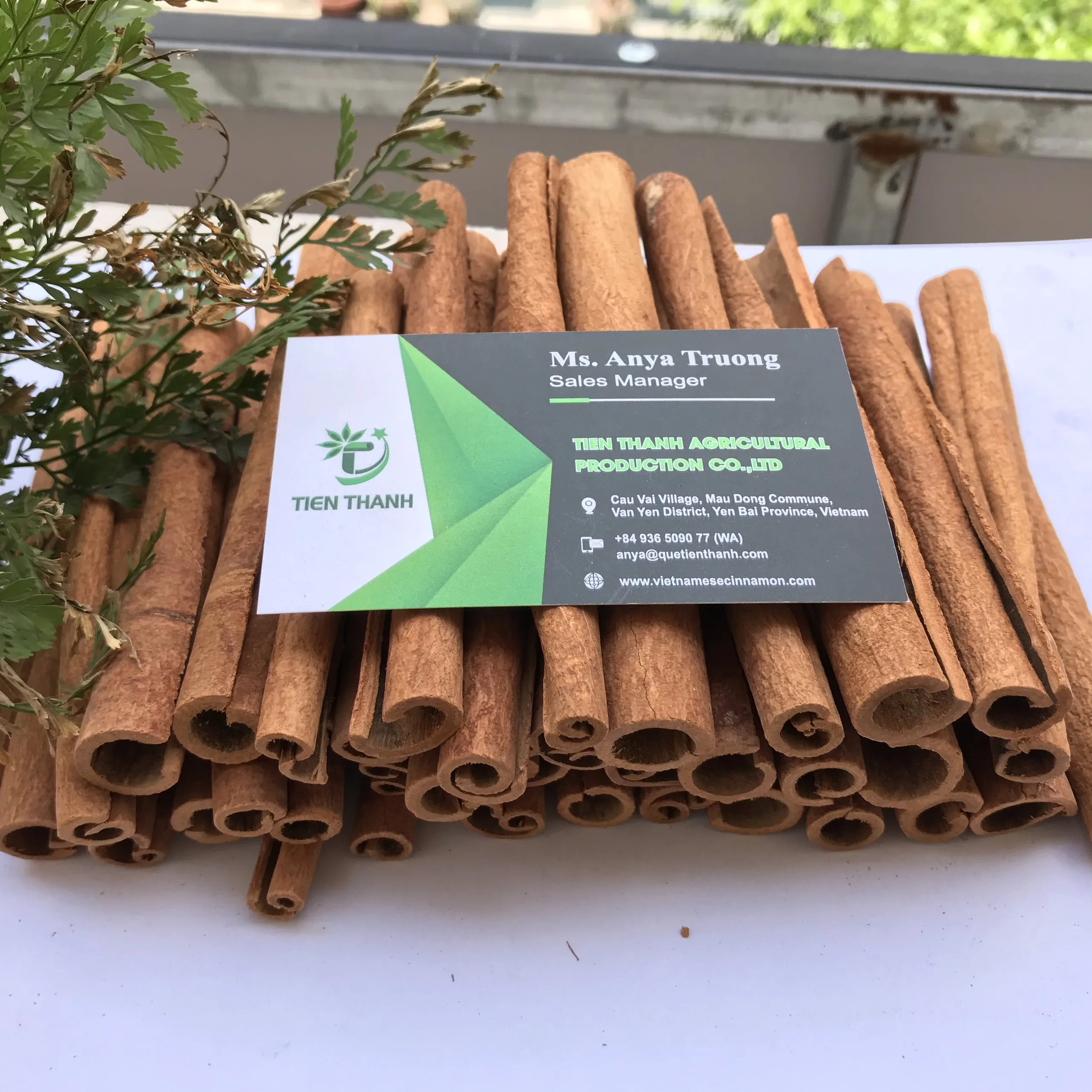 Карандаш корицы/укрытая Корица/Canela de Cassia