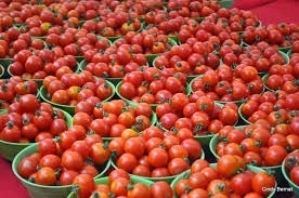 Raw-Fresh-Farm-Tomatoes.jpg