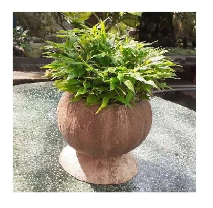 Mini vaso da fiori in resina Corgi per piante grasse, contenitore per piante, piante d'aria, porta pennelli, organizer da tavolo (set misto di 3
