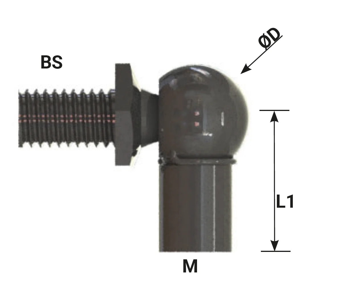 Ball Joint Fastener For Gas Piston Lift Support End Fitting Stainless