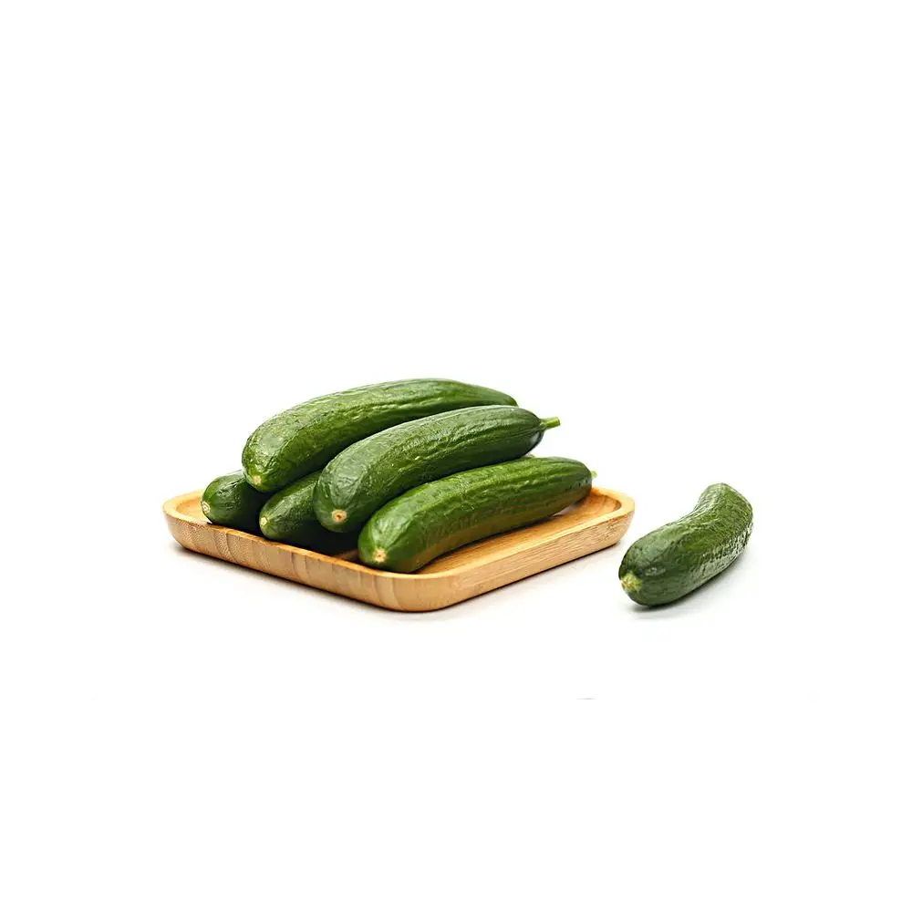 Agricultural Planting Hybrid Seeds Cucumber F1 Green Cucumber Seed F1