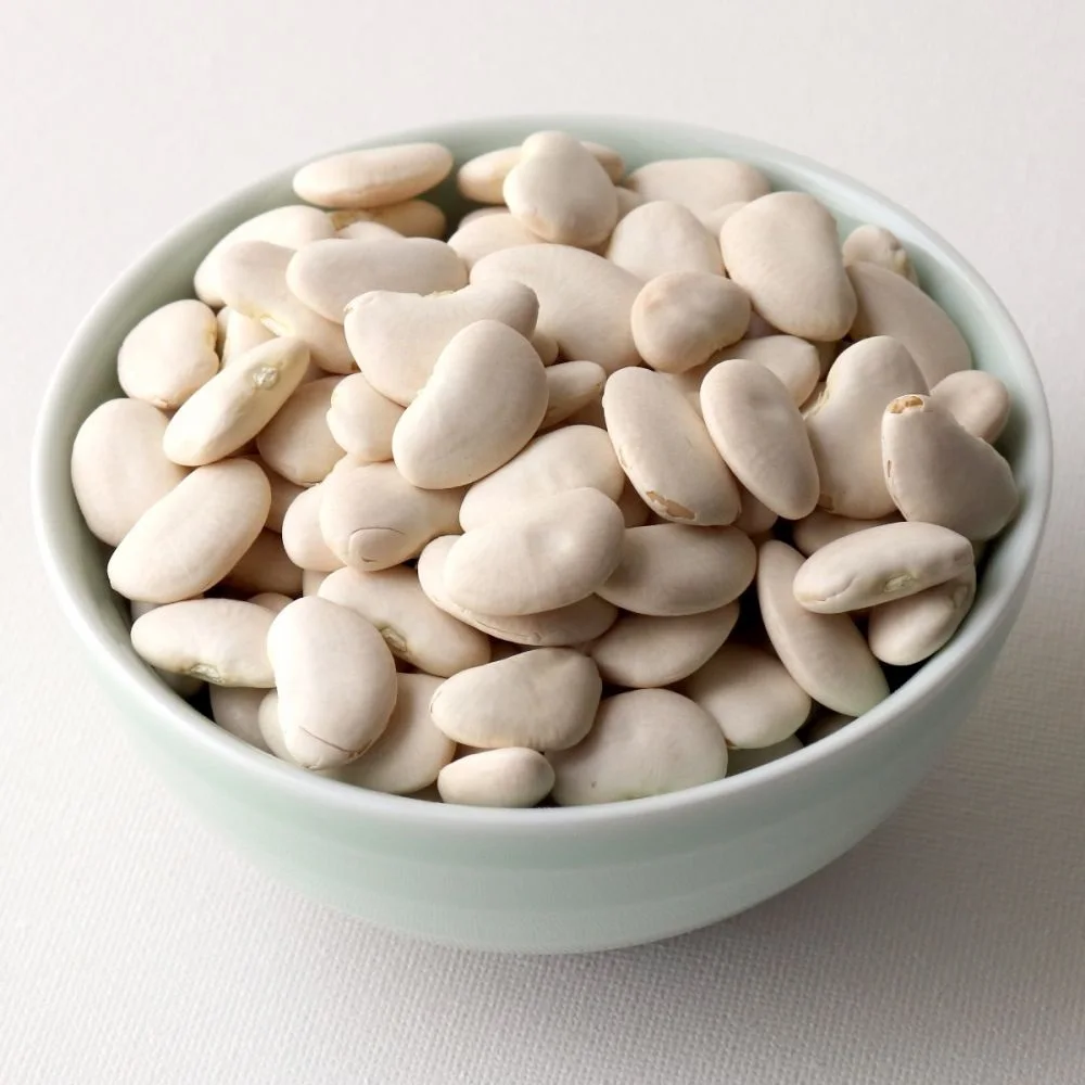 Quality White Butter Beans At Low Cost Bulk Price