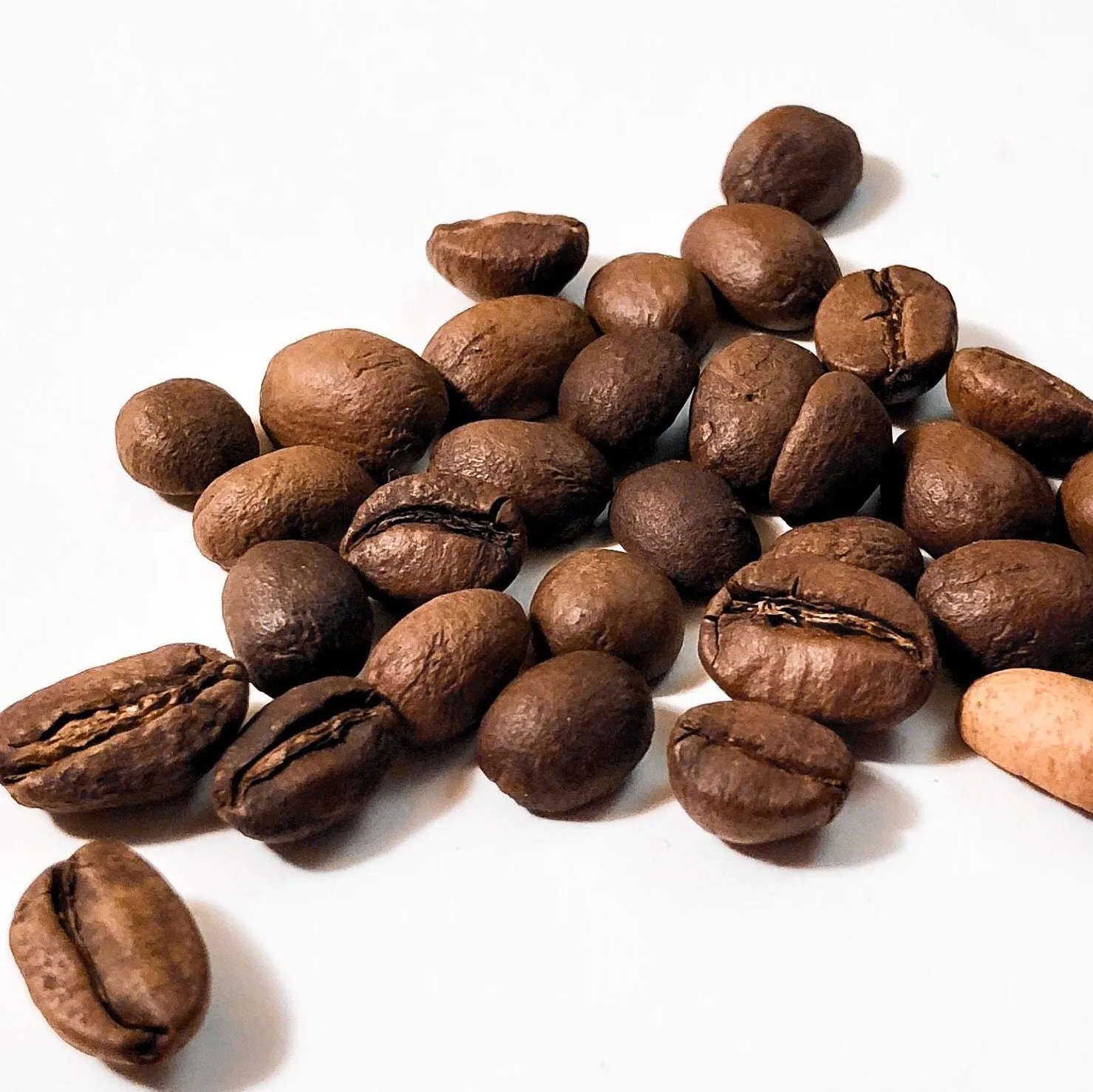 High Quality Roasted Arabica Coffee Beans Organic Best Price Arabica Robusta Coffee Vietnam Origin Wholesale Buy Arabica Robusta Coffee Beans Arabica Whole Bean Coffee Vietnam Arabica Beans Coffee Product On Alibaba Com