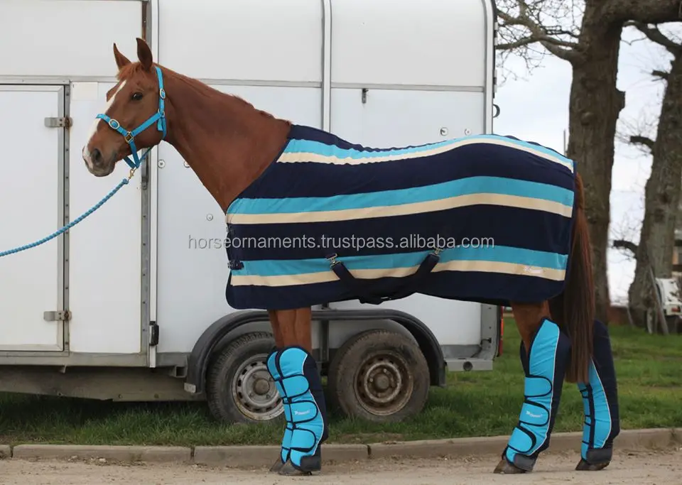 FLEECE RUG BLUE.jpg
