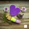 สีม่วง