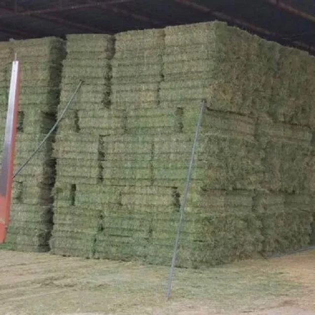 alfa whey bay2.jpg