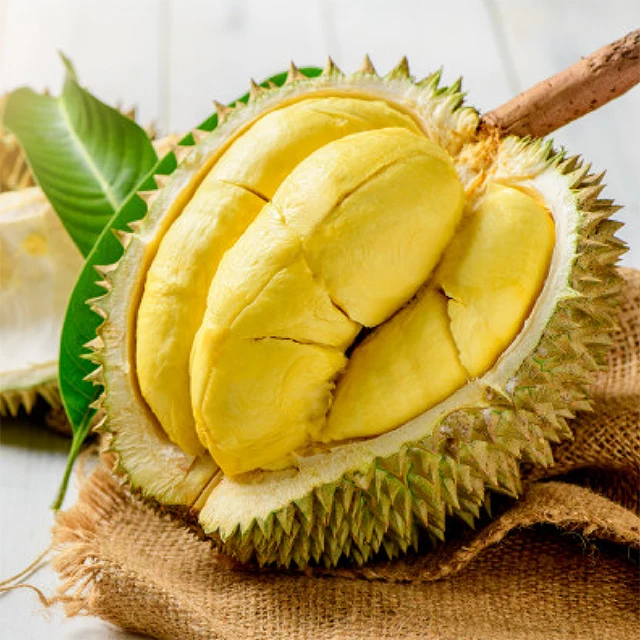Fresh Super Delicious Taste Premium Quality Durian Whole Fruit Export