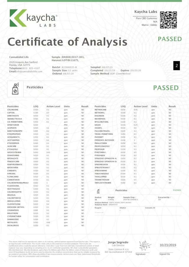 
 CBD GUMMY BEARS | 250 мг без THC  