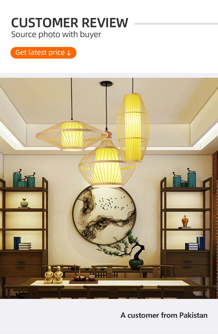 Modern Nordic Designer Ceiling Lights Lighting Hanging Chandeliers Lamp